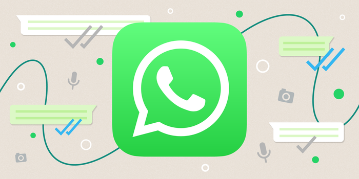 How to Check WhatsApp Online Status Quickly? Digital Planet Supports Batch Checking